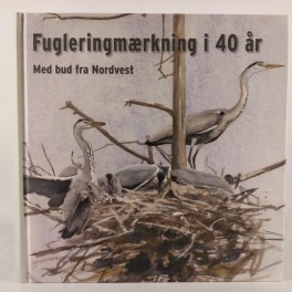 Fugleringmrkningi40rmedbudfranordvest-20