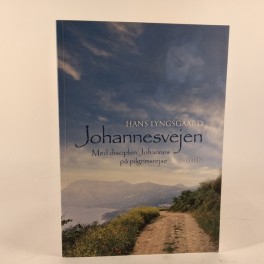 JohannesvejenafHansLyngsgaaard-20