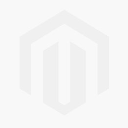 SidsteforelsningafRandyPauschmedJeffreyZaslow-20